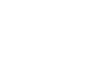 sonner_logo_stacked_white